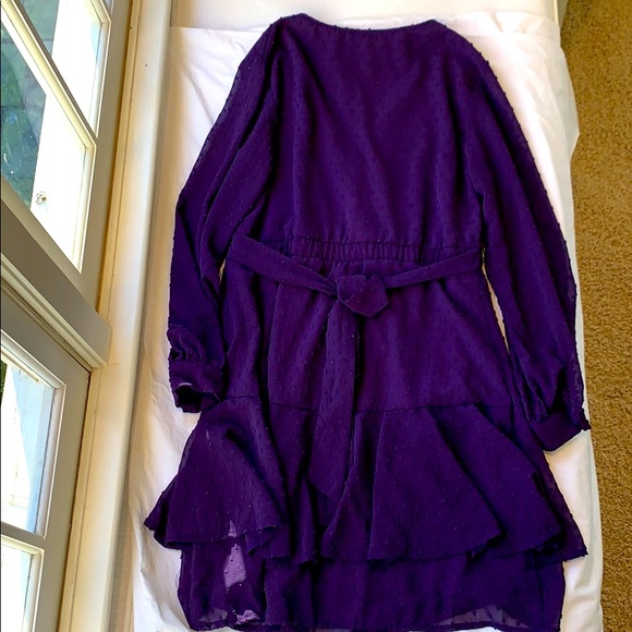NWT Swiss Dot Purple Dress        Size: Medium - Picture 8 of 13